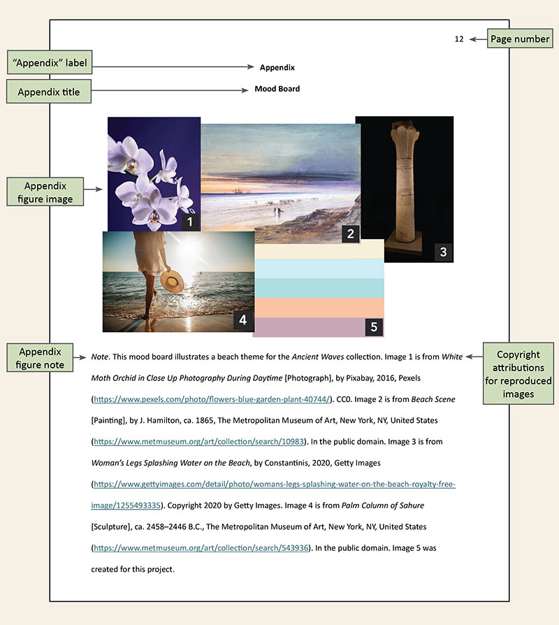 Appendices Setup