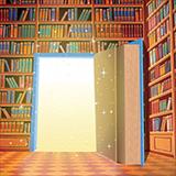 Library book shelves illustration