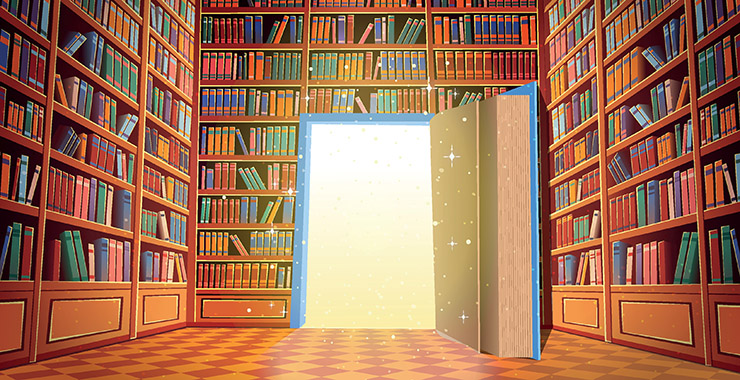 Library book shelves illustration