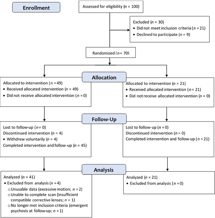 Sample CONSORT flowchart describing flow of participants through a study.