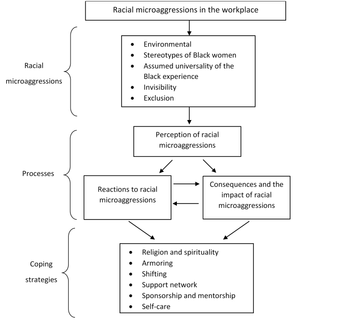 Sample flowchart describing racial microaggressions in the workplace, including examples of racial microaggressions, processes, and coping strategies.